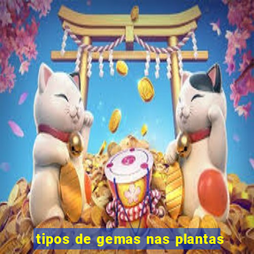 tipos de gemas nas plantas